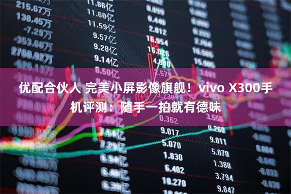 优配合伙人 完美小屏影像旗舰！vivo X300手机评测：随手一拍就有德味