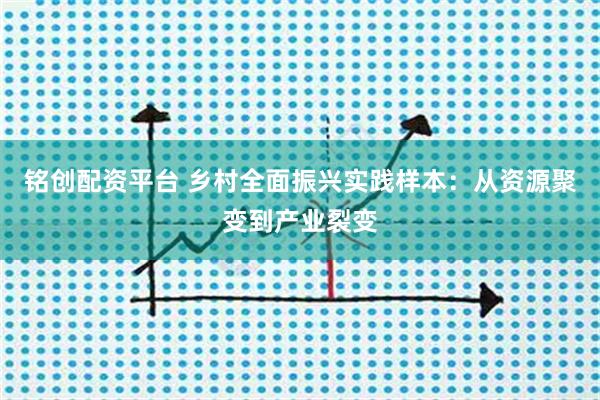 铭创配资平台 乡村全面振兴实践样本：从资源聚变到产业裂变