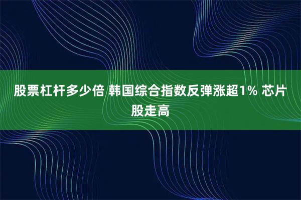 股票杠杆多少倍 韩国综合指数反弹涨超1% 芯片股走高